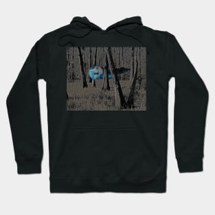 Will o Wisp Hoodie